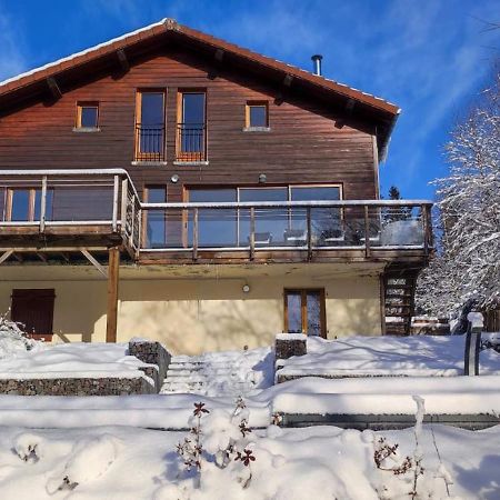 Le Cerf, Chalet Cocooning Avec Piscine Et Billard Ban-sur-Meurthe-Clefcy Екстер'єр фото