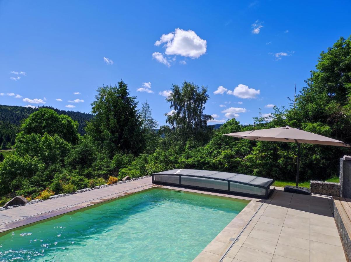 Le Cerf, Chalet Cocooning Avec Piscine Et Billard Ban-sur-Meurthe-Clefcy Екстер'єр фото