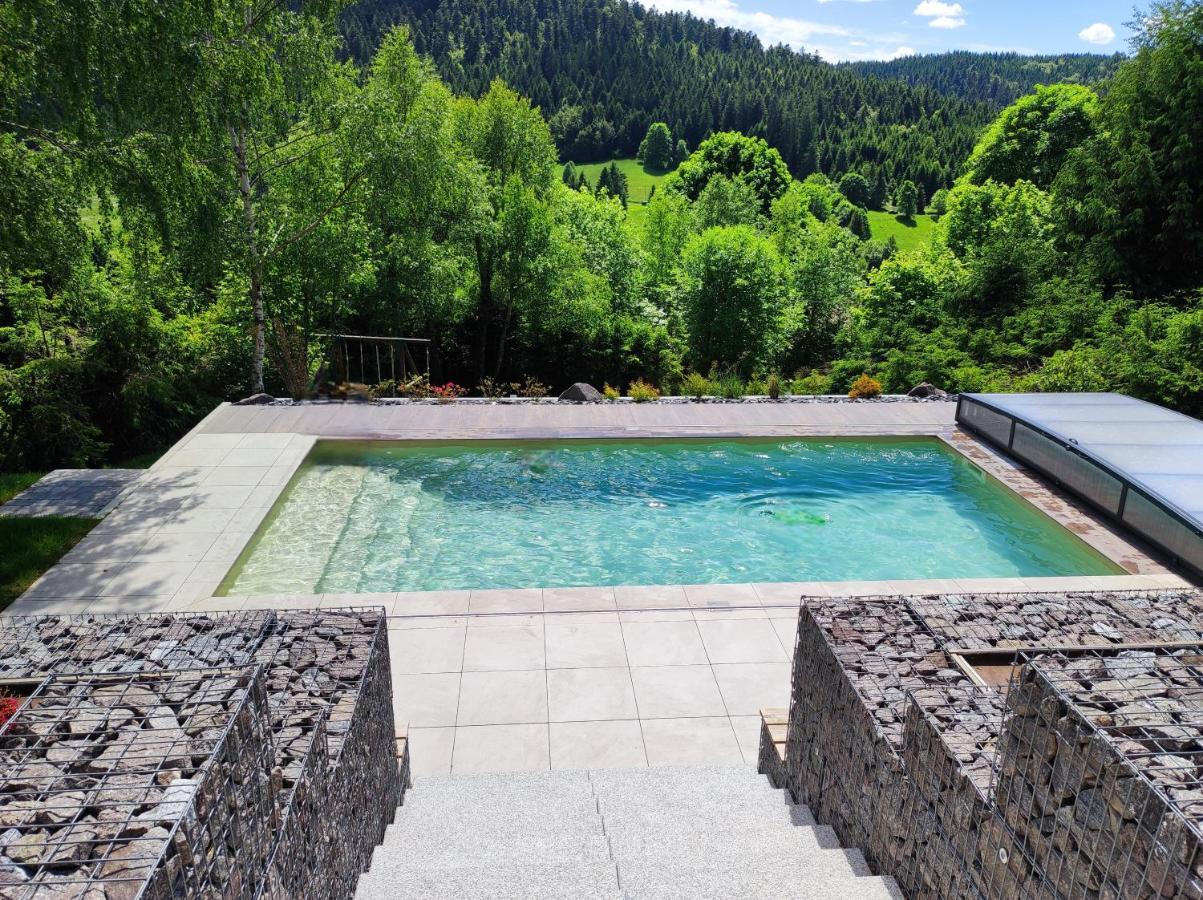 Le Cerf, Chalet Cocooning Avec Piscine Et Billard Ban-sur-Meurthe-Clefcy Екстер'єр фото
