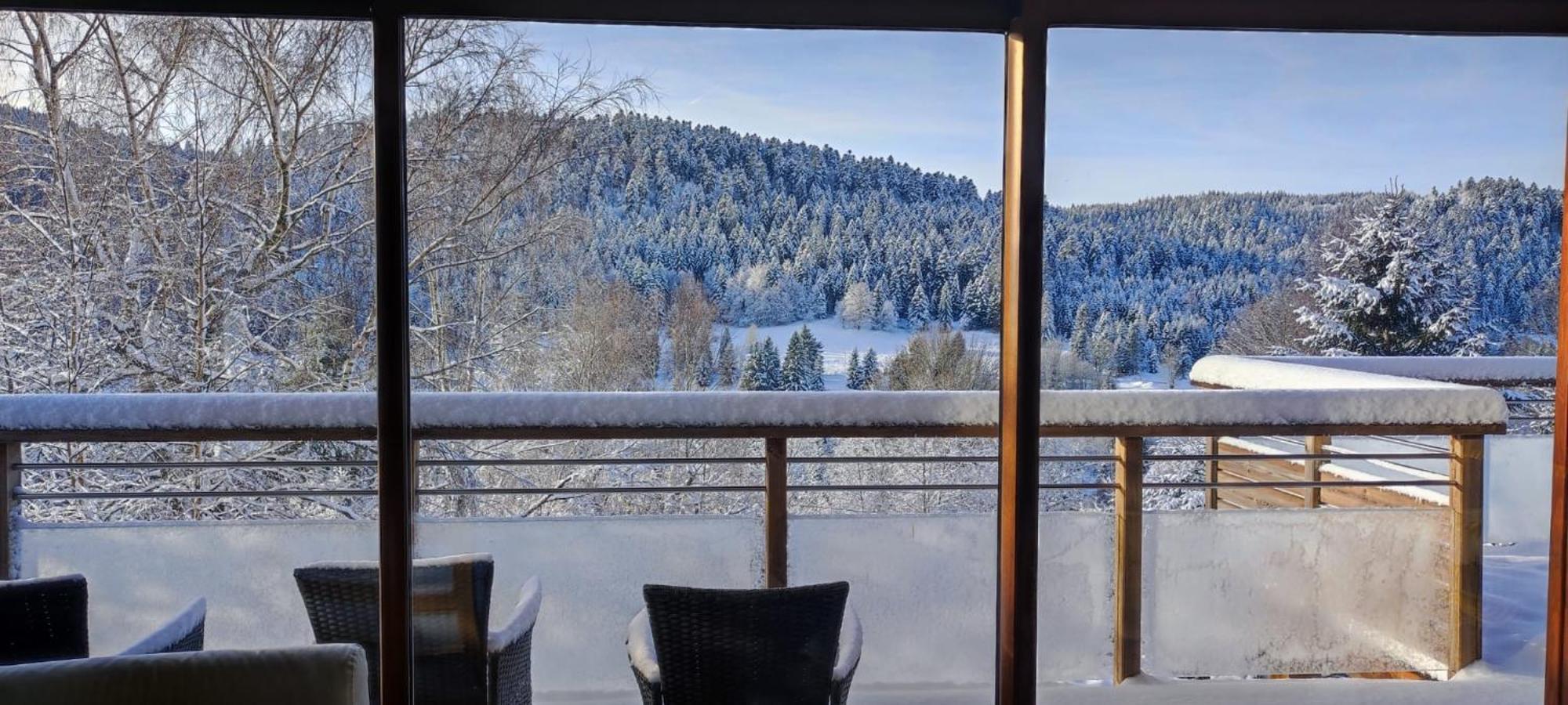 Le Cerf, Chalet Cocooning Avec Piscine Et Billard Ban-sur-Meurthe-Clefcy Екстер'єр фото